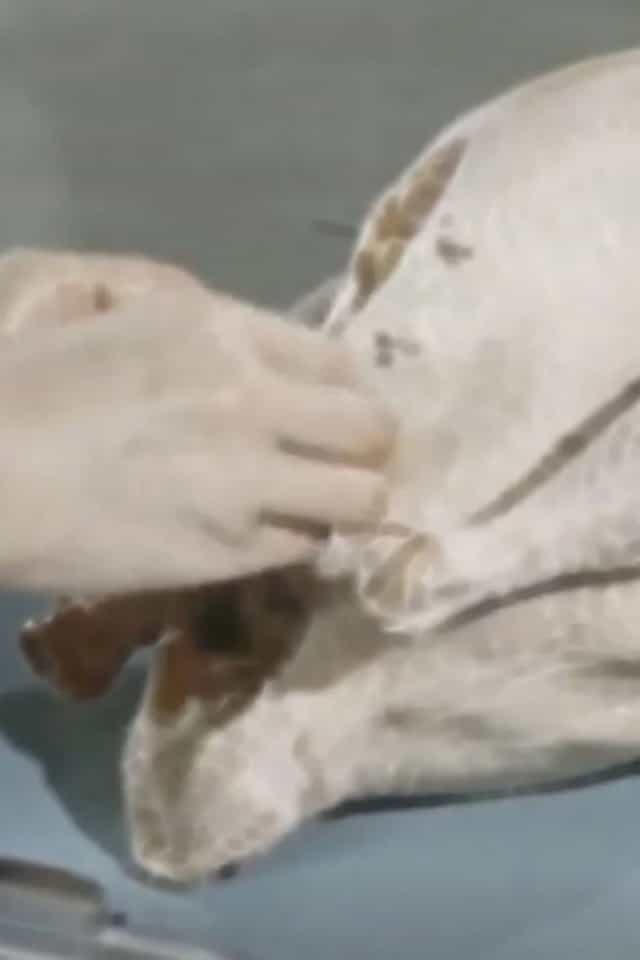 563821