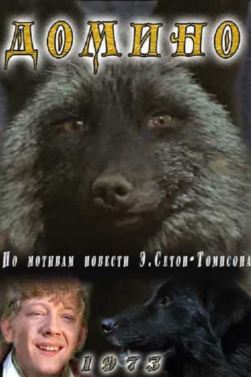 343797