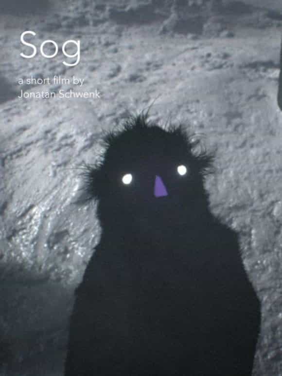 529077