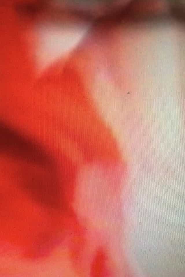 1210691