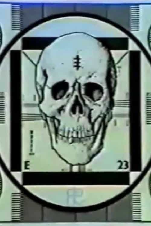 538487