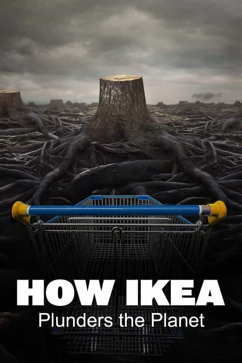1239993