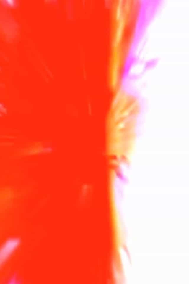 424919