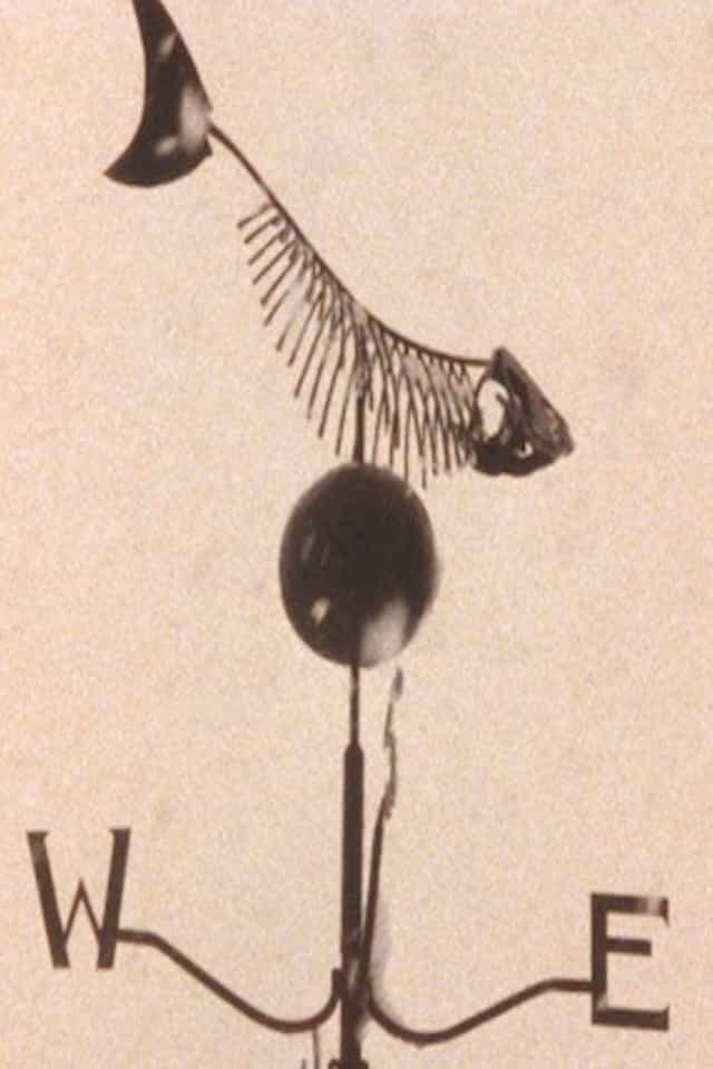 1172545