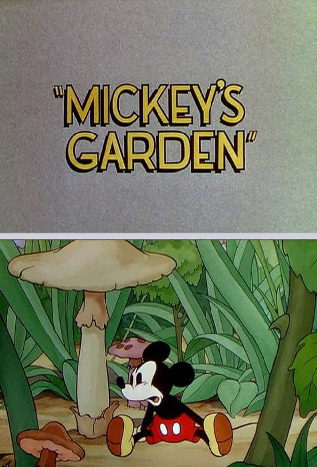 67110