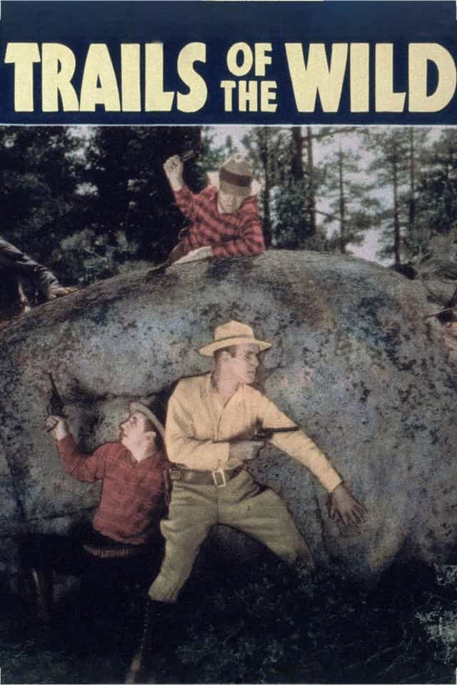 395592
