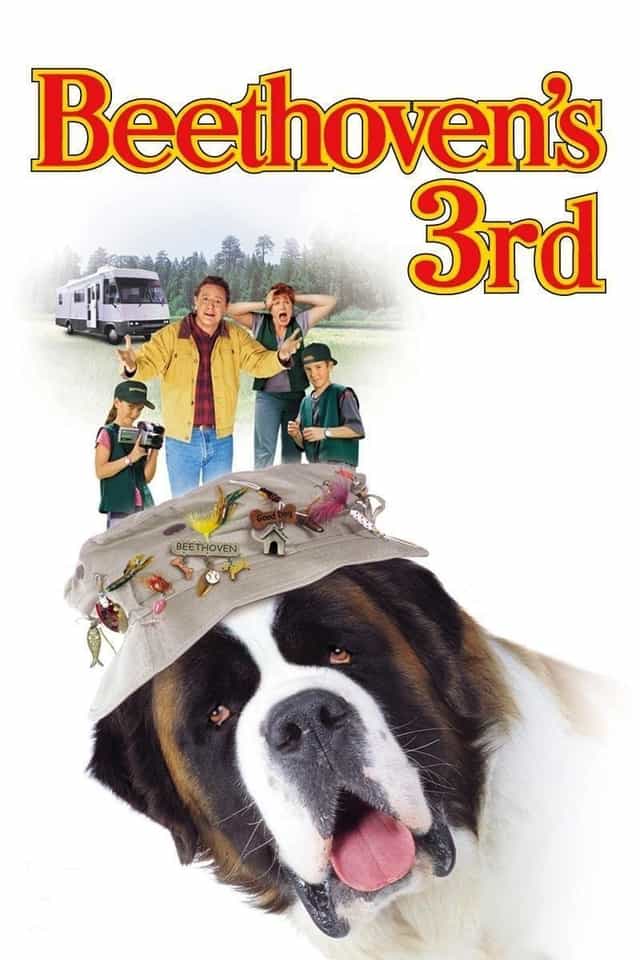 24476