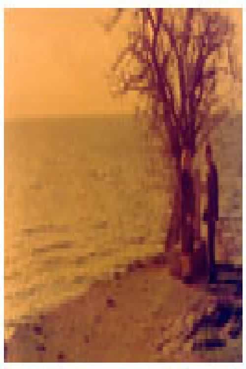 1667678