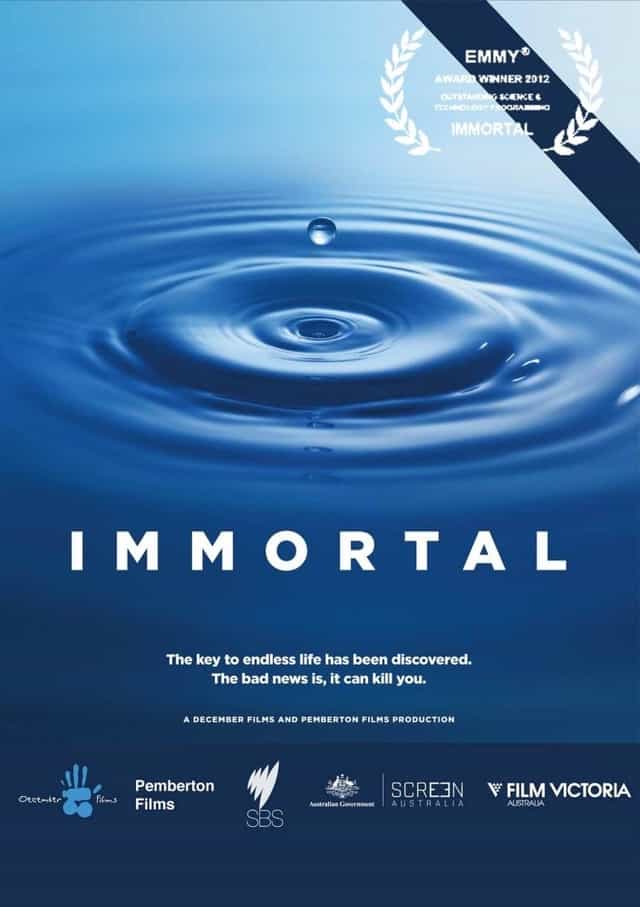 276988