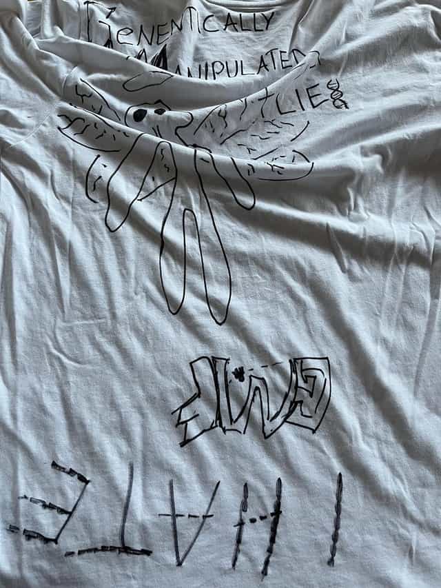 1244619
