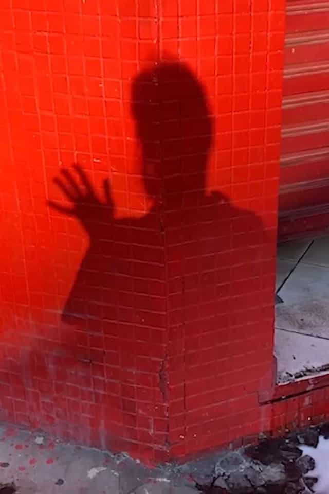 1294636