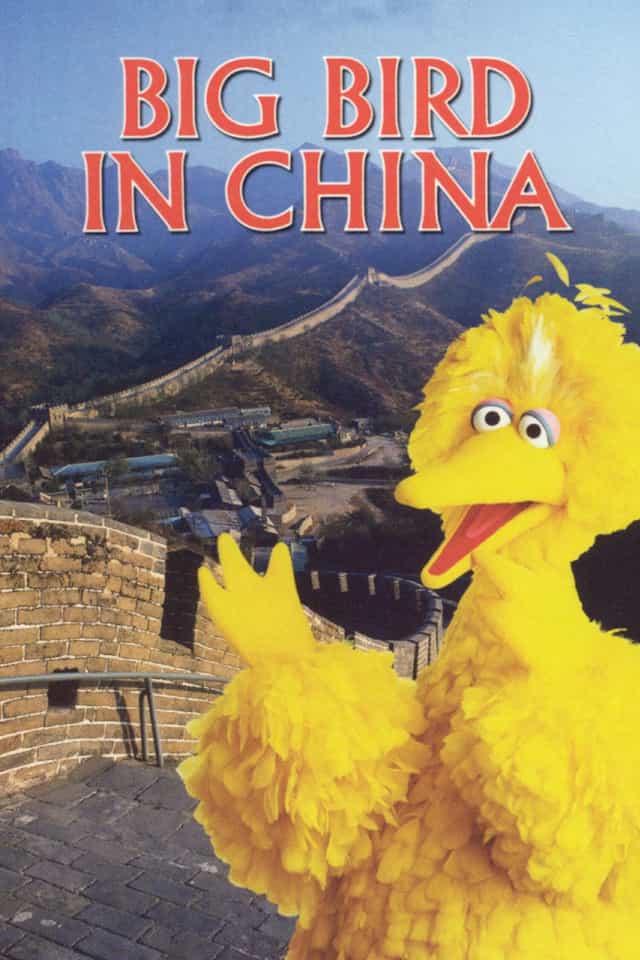 49216