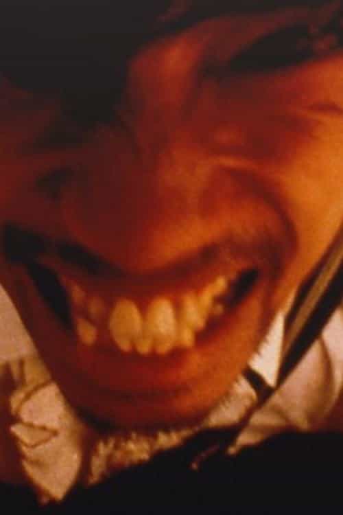 955566