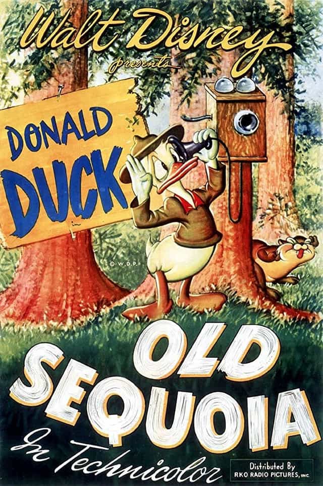 67149