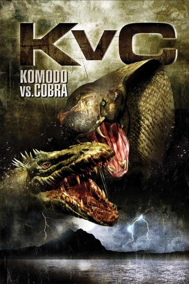 28509