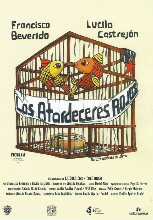 567381