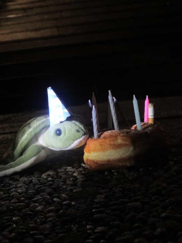 1571171