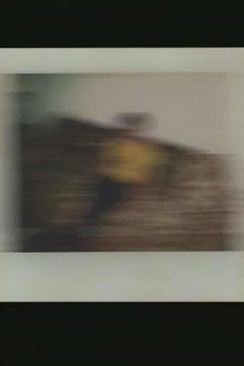 571568