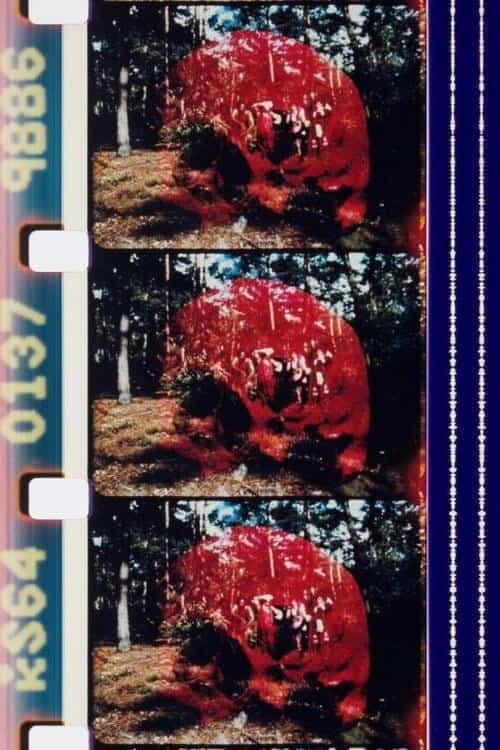 665346