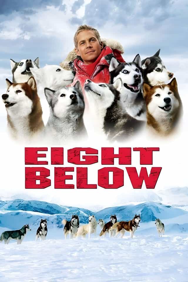 9036