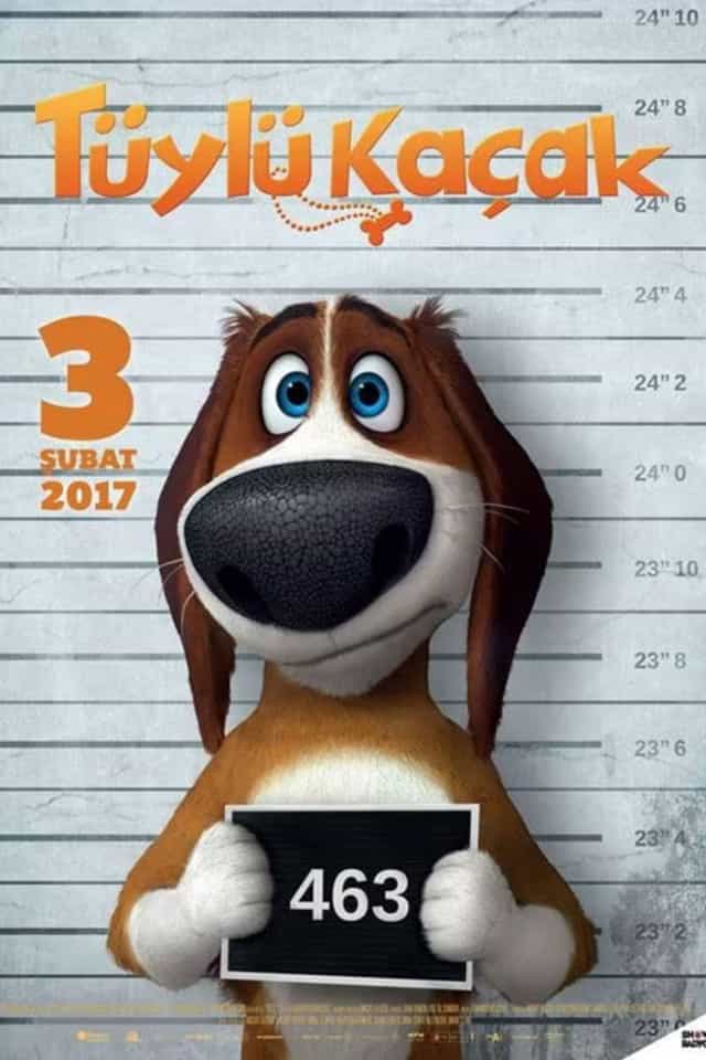 1624253
