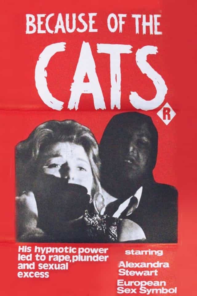 46554