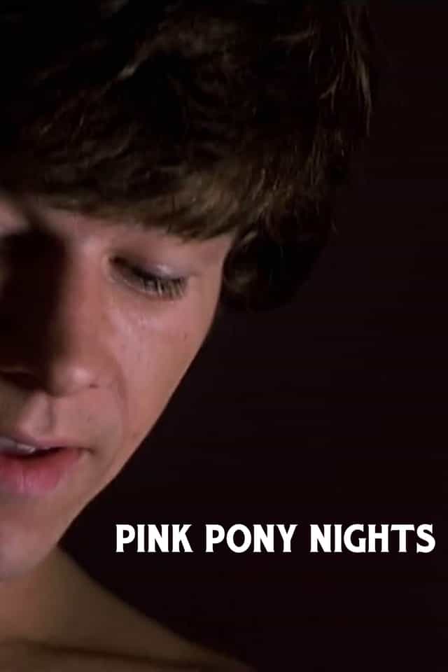 1564604