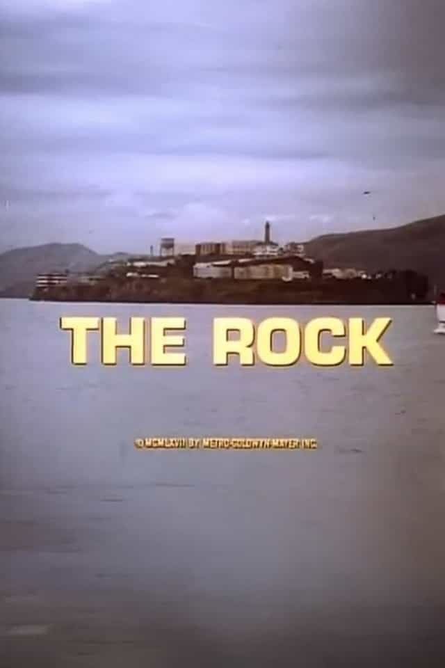 239313