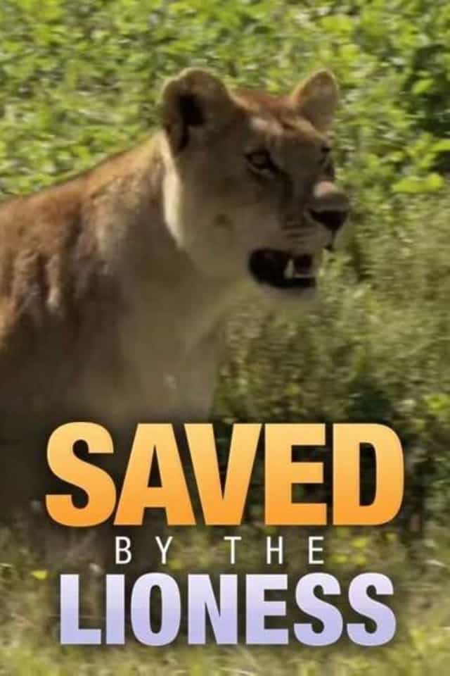 319643