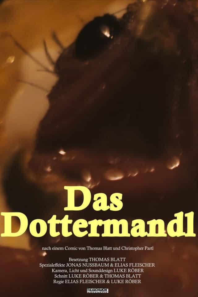 1141907