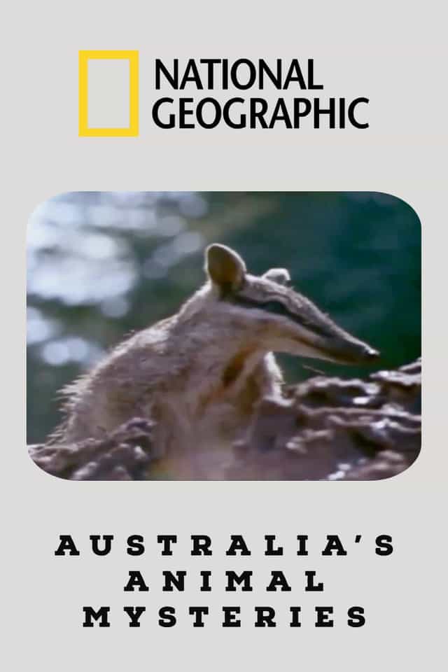 22107