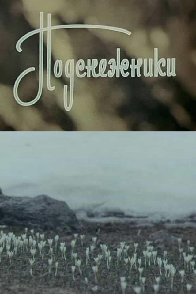 1114611