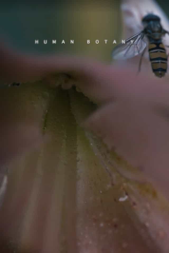1406086