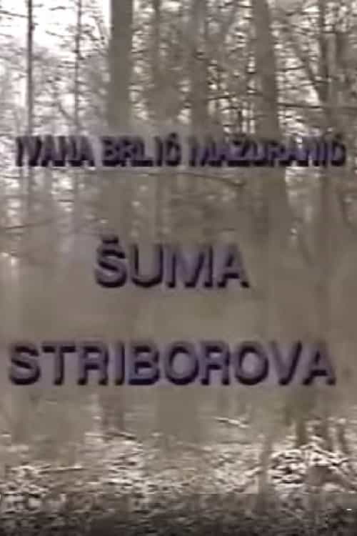 1541343