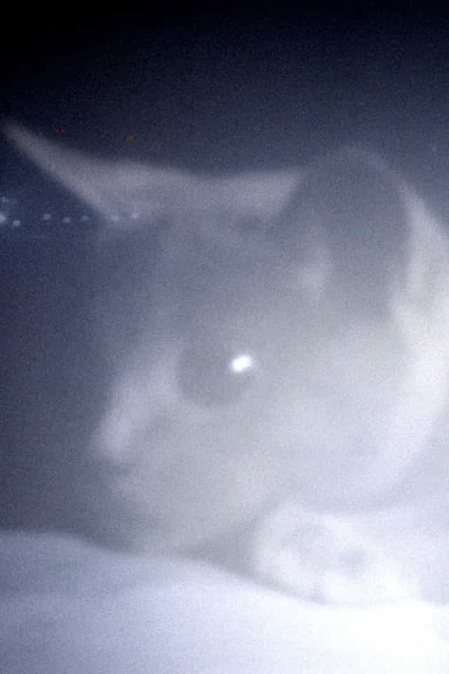 1000124