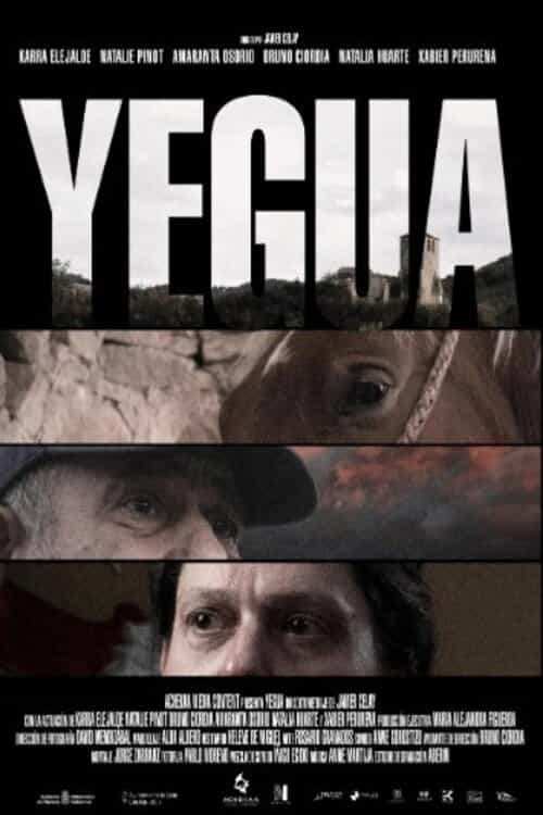 1145138
