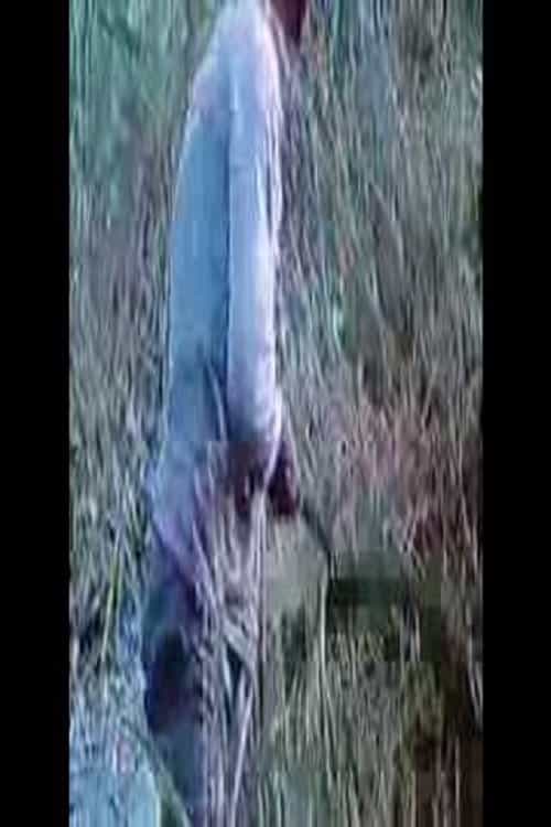 750581