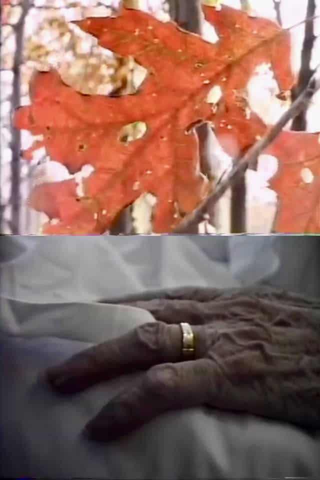 517230