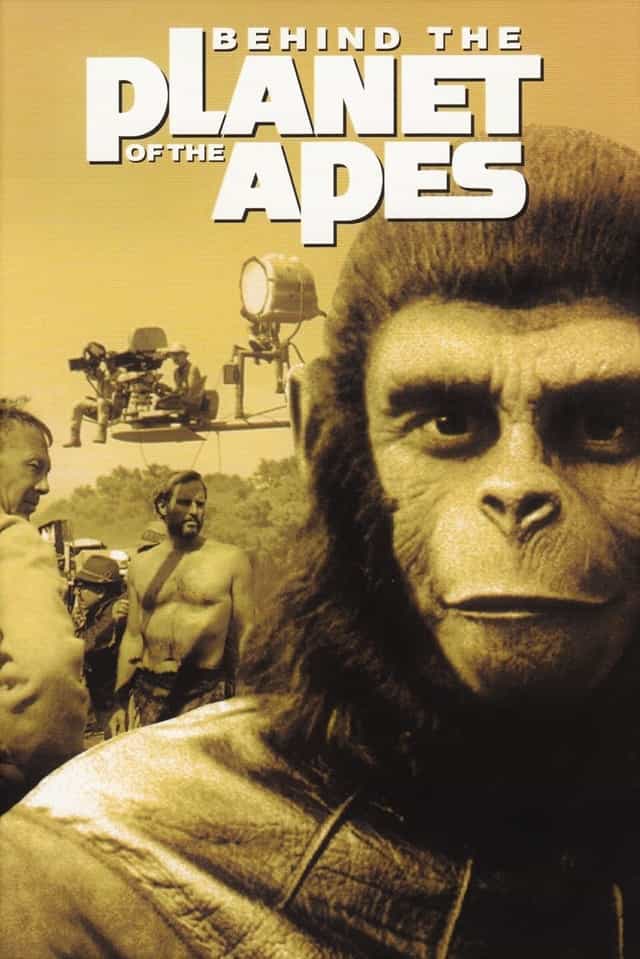 17244