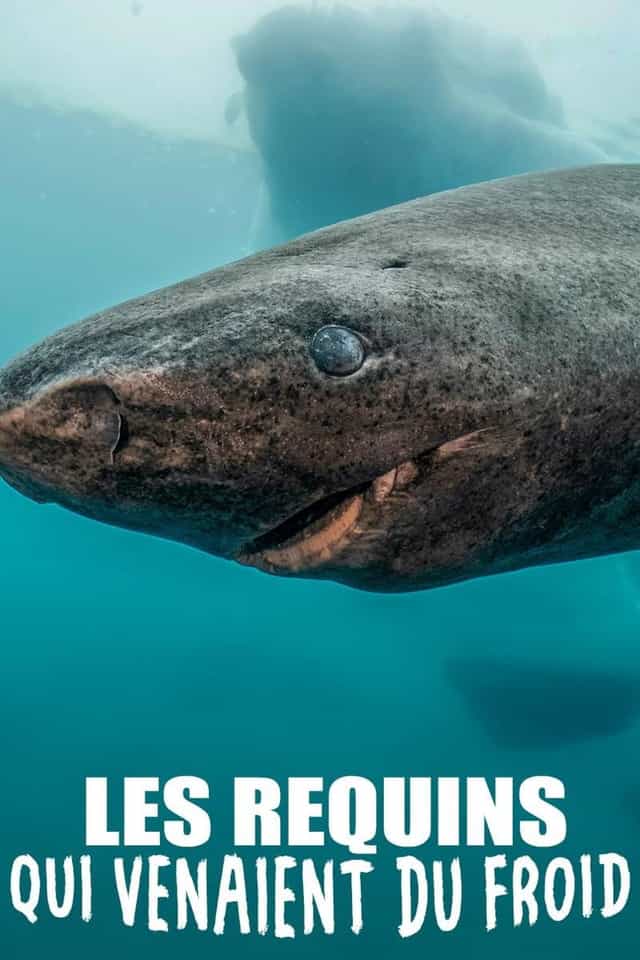 731365