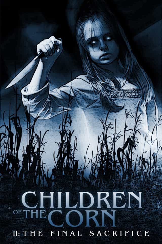 25748
