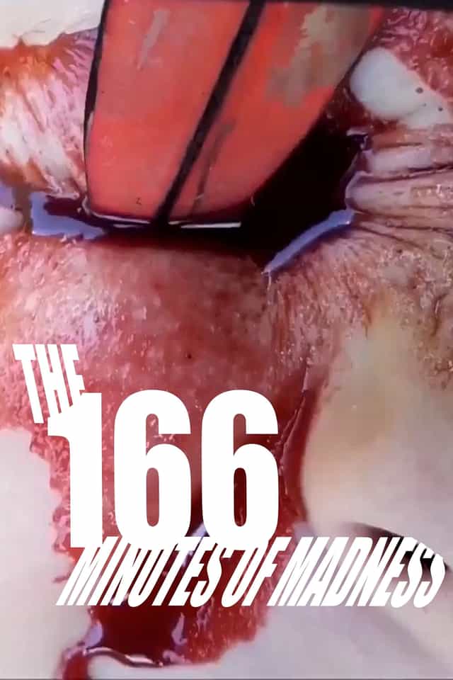 1196894