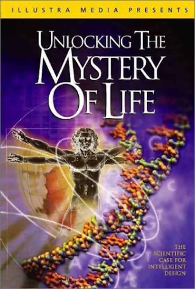 48439