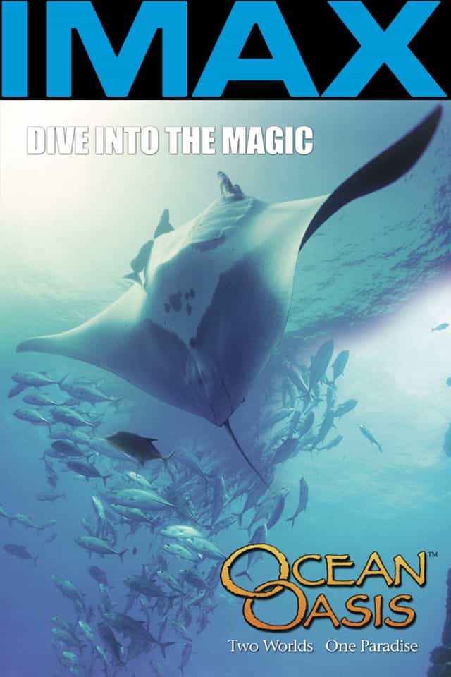 22716