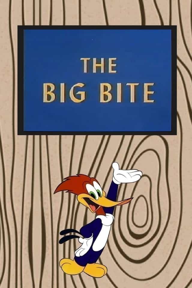 234317