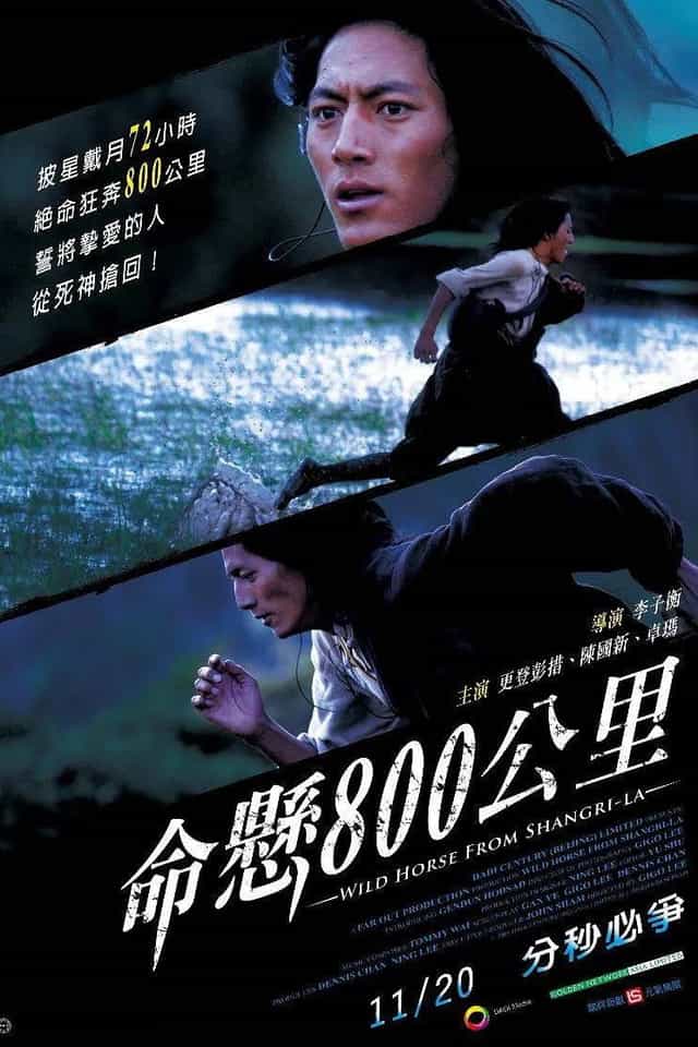 77293