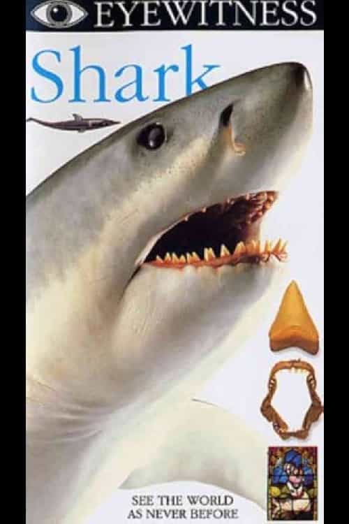 252421