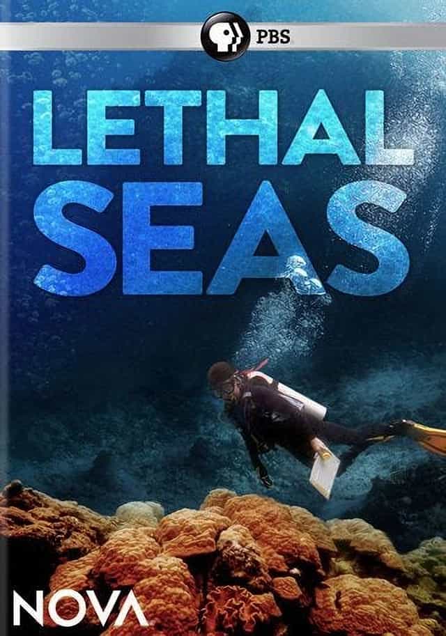 820602