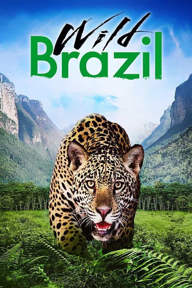 318763