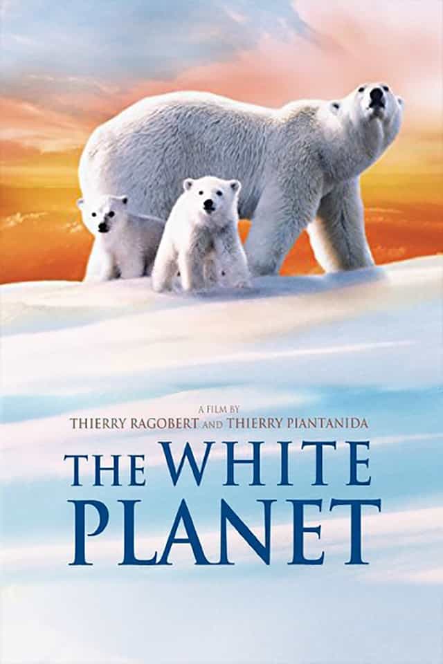 50543